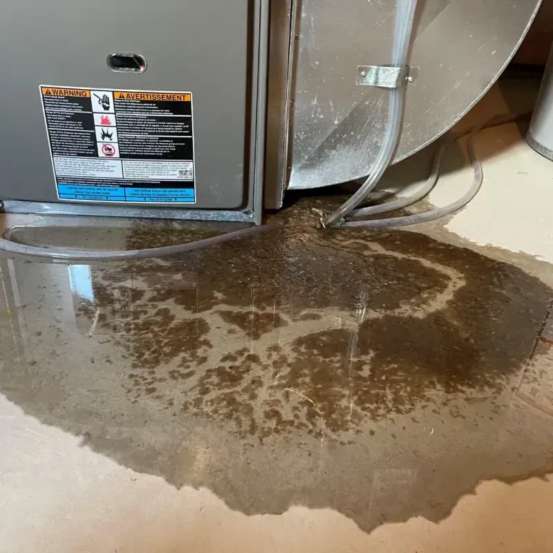 Appliance Leak Cleanup in Towner County, ND